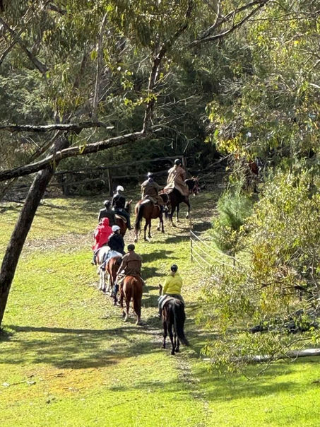 group accommodation mansfield and things to do in the high country