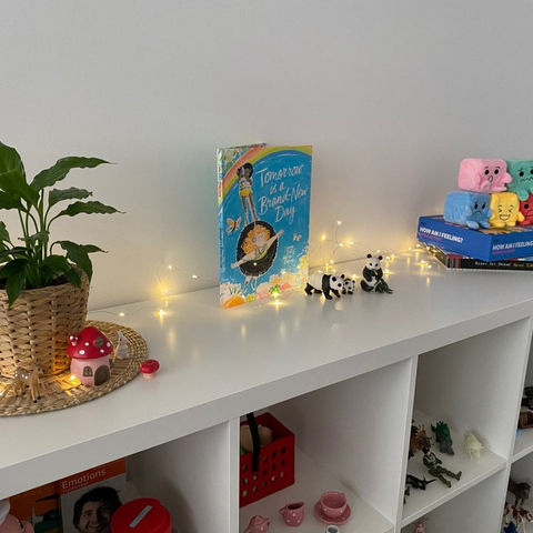  play therapist sunshine coast rooms
