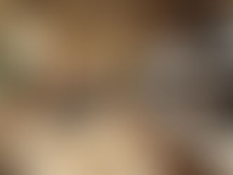 eco friendly shop fitouts Brisbane