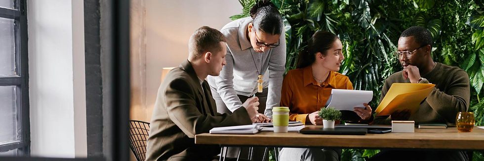 ndis registration consultant
