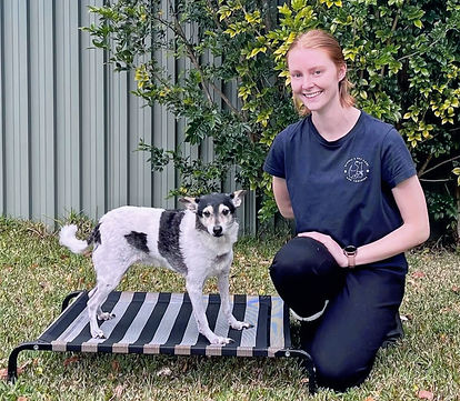 lilly at paws and think dog training sydney