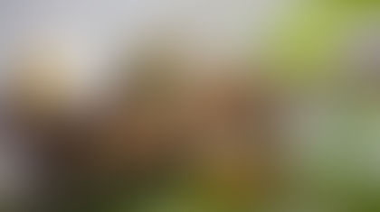 Ayurvedic Products drop shipping India