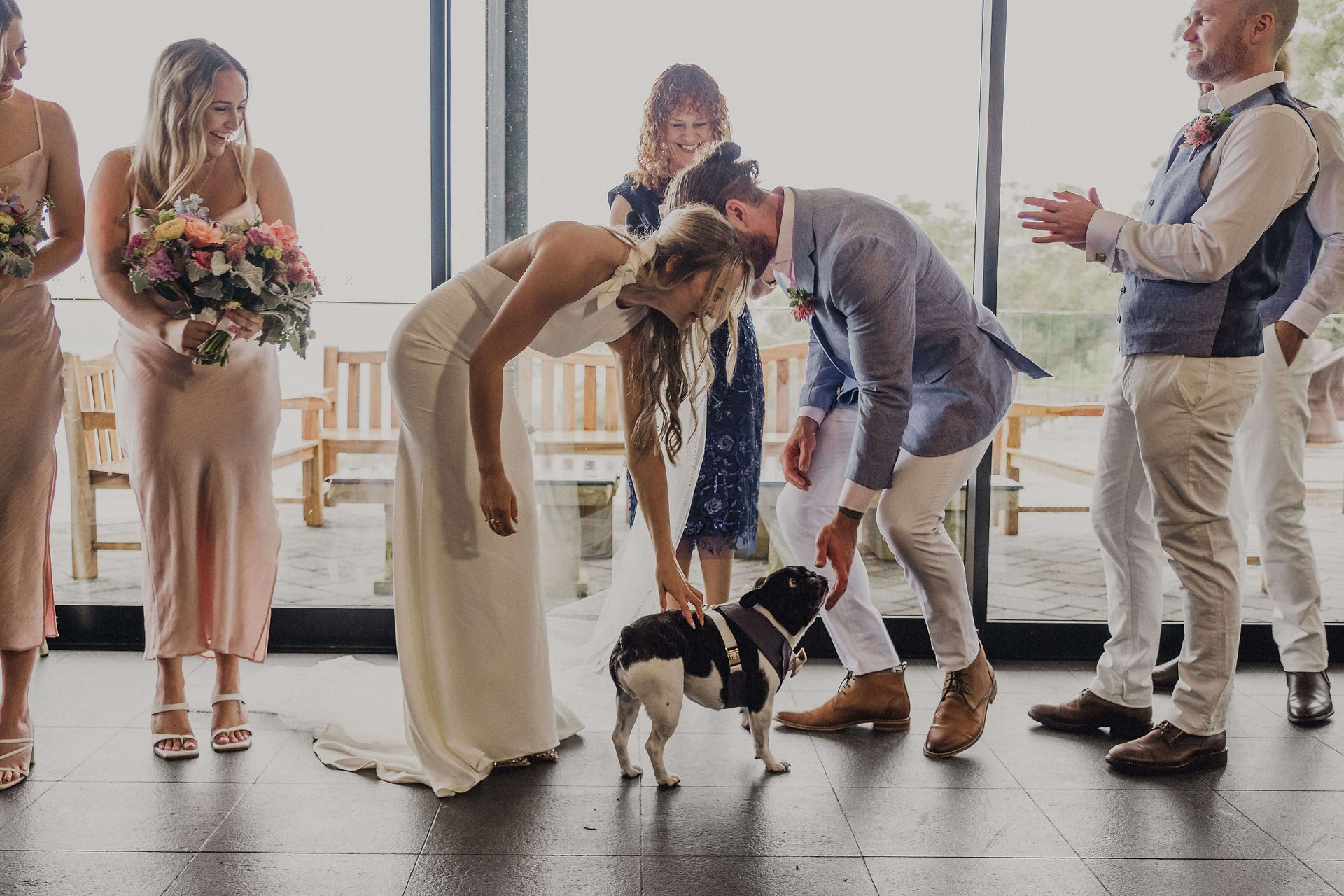 dogs at wedding in Canberra with canberra celebrant