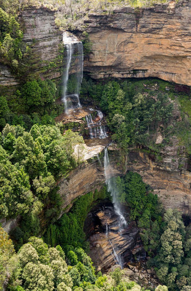 private tour blue mountains can include waterfalls & bird watching
