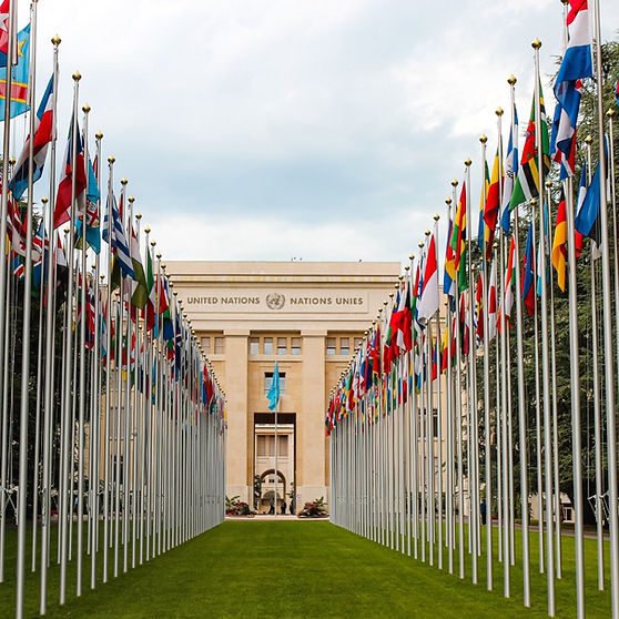 united nations flags