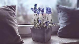 drummoyne counselling for grief & loss