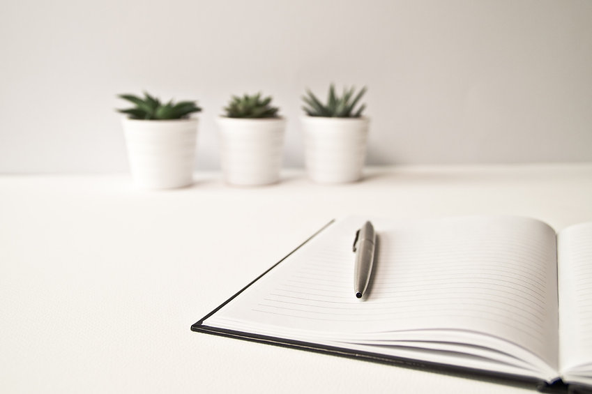 wix vs wordpress who's better for SEO