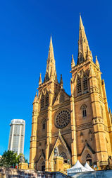St Mary's cathedral seen on walking tour sydney
