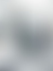 shower screen trends  - fixed frame screen black  melbourne