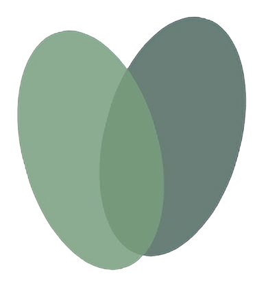 Inclusive Action behaviour support melbourne
