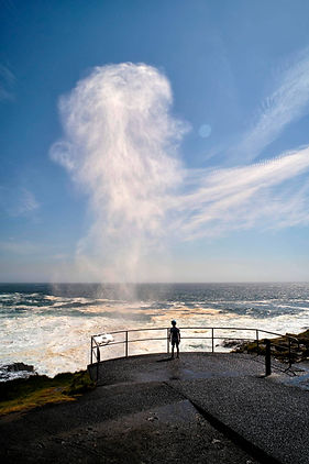 kiama blowhole on south coast tours