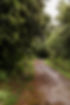 perth hypnotherapist Mind U Hypnotherapy