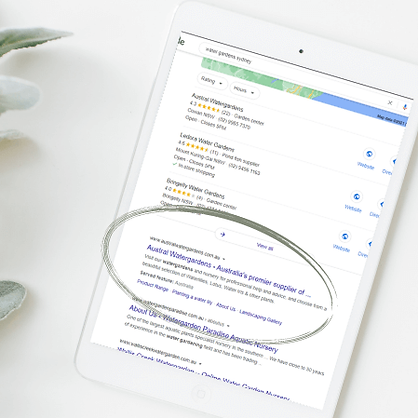 wix seo australia