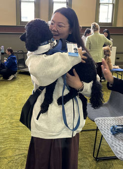 therapy dog support for exam week at Uni