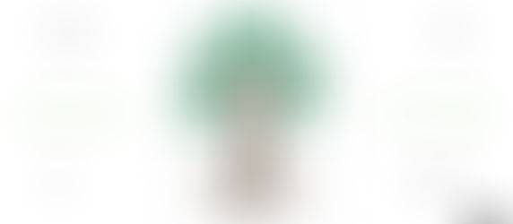 TREE Model Part 4 - Equity