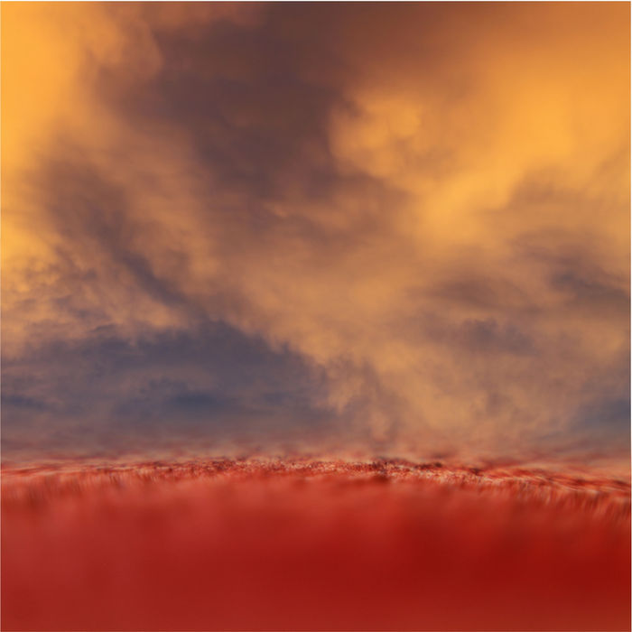 II horizonte entre nos 8 web.jpg