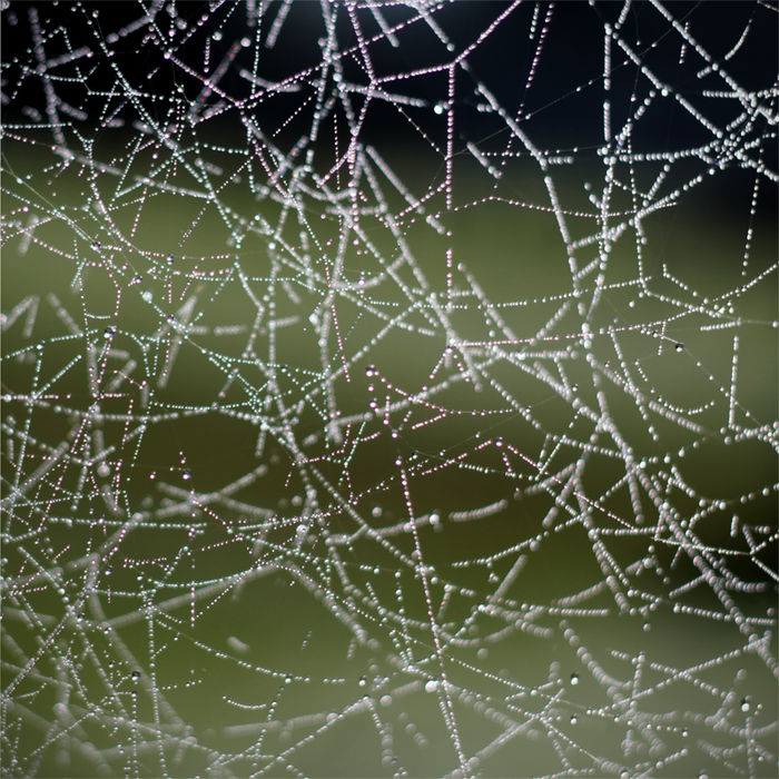 decf constelações 2 cópiaweb.jpg