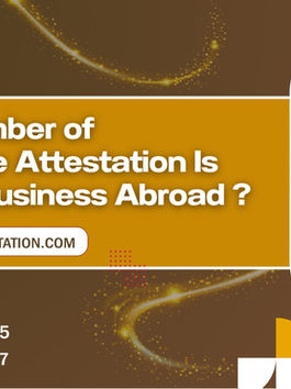 Why Chamber of Commerce Attestation Is Vital for Business Abroad