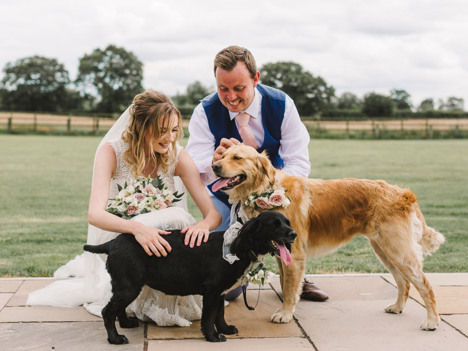 bride and groom and dog at wedding