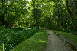 Domaine de Saint-Thibault