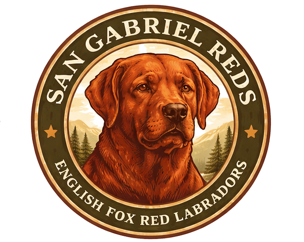 San Gabriel Reds logo No background