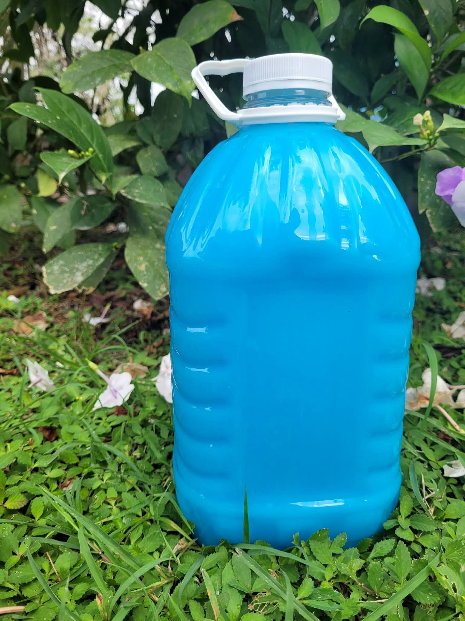 Gallon - Softener