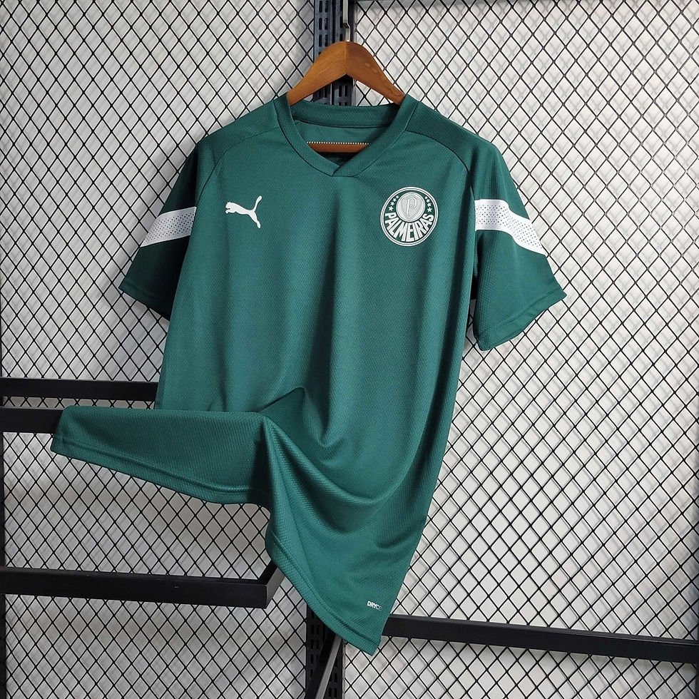 Miniatura: Camisa Palmeiras Treino 23/24 Torcedor Puma Masculina - Verde