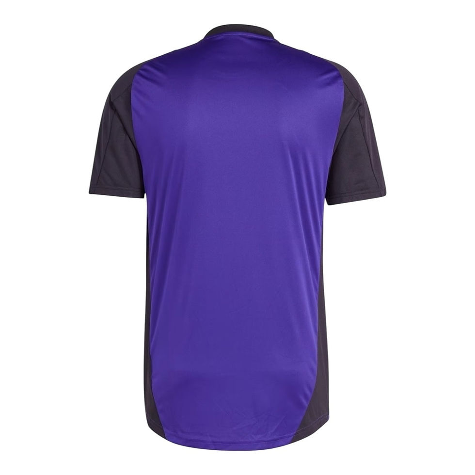 Miniatura: Camisa Seleção Alemanha Treino 24/25 - Torcedor Adidas Masculina - Preta e roxa