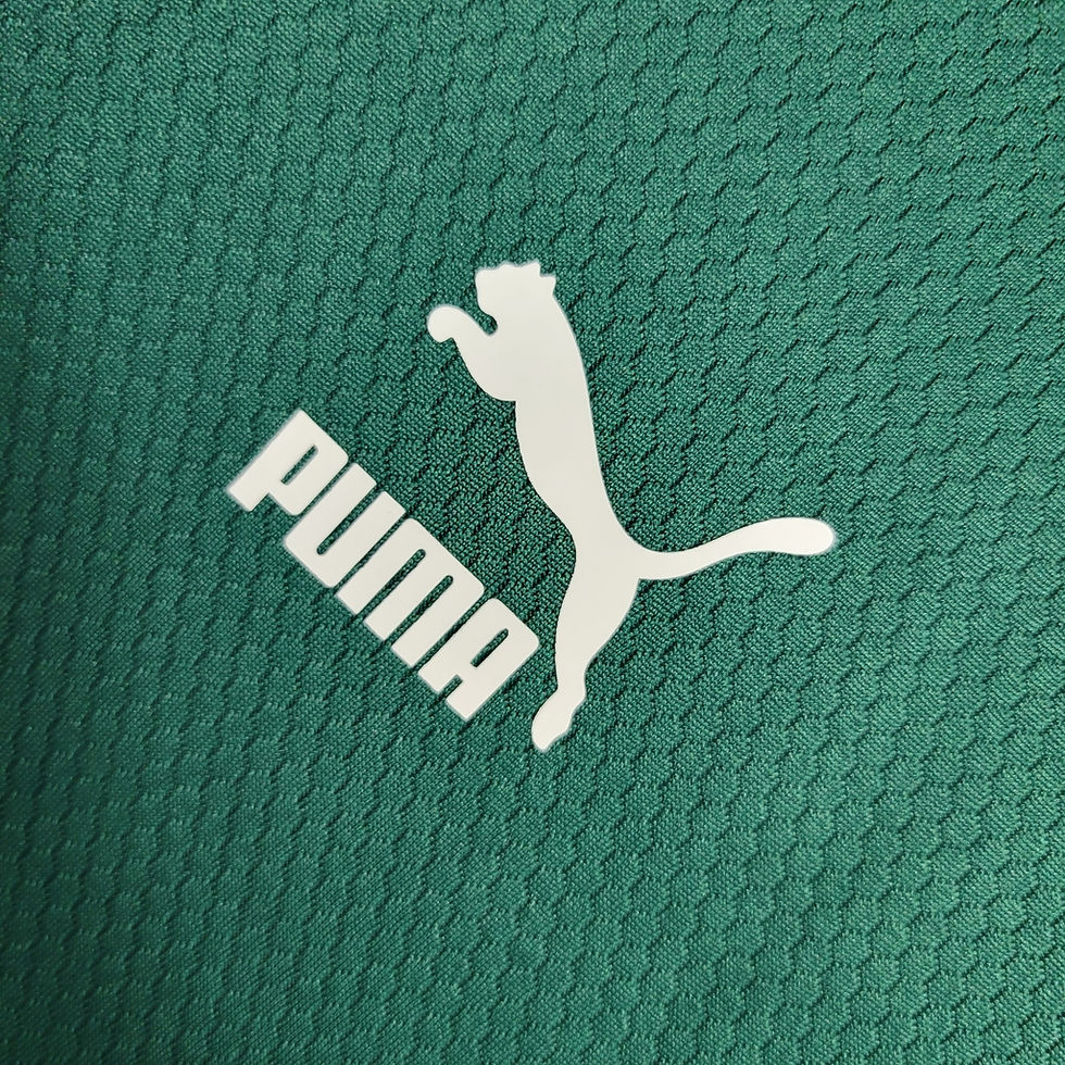 Miniatura: Camisa Palmeiras Treino 23/24 - Torcedor Puma Masculina - Verde e Branco