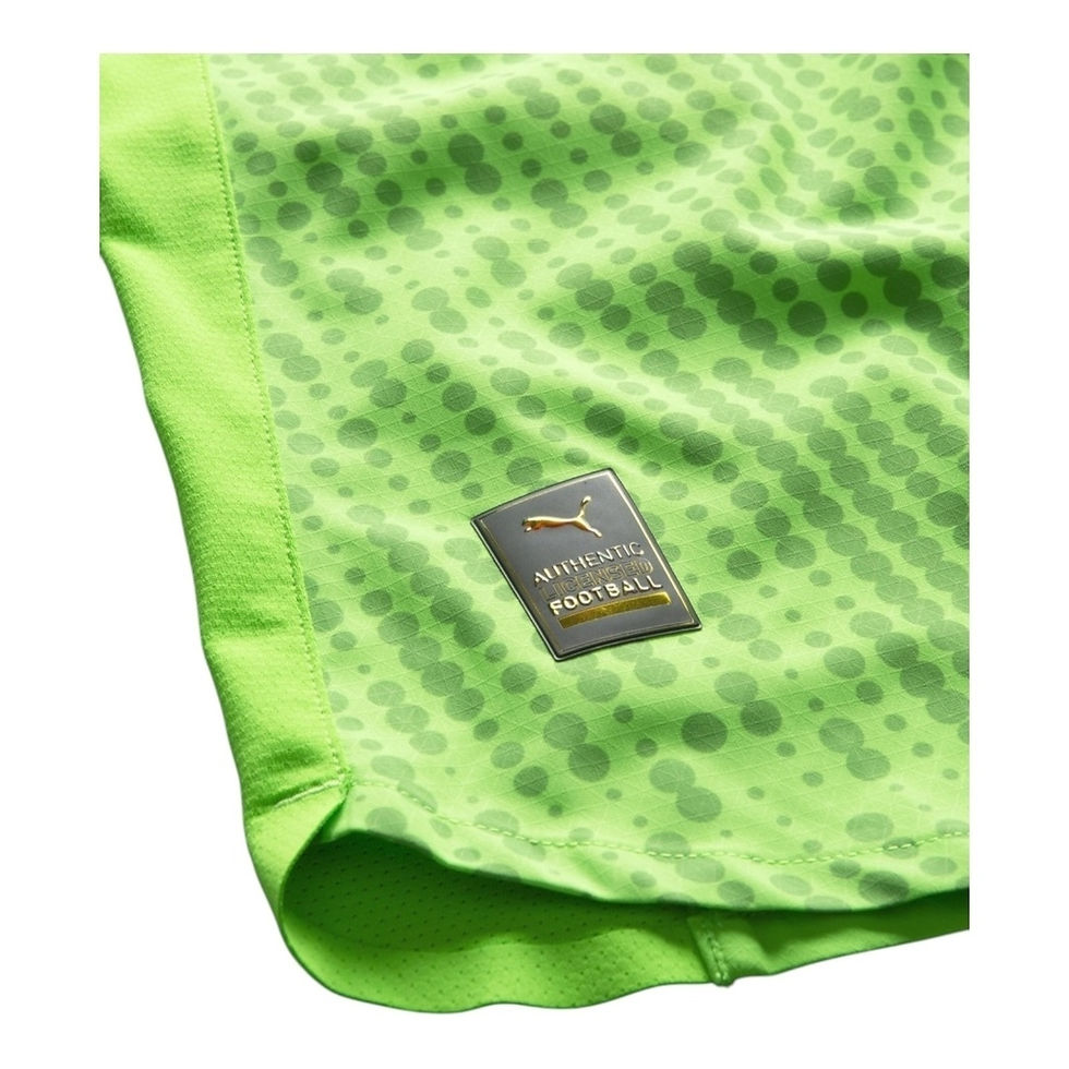 Miniatura: Camisa Seleção Portugal Goleiro 25/26 - Torcedor Puma Masculina - Verde com deta