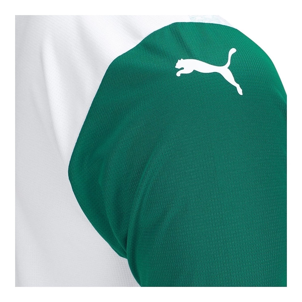 Miniatura: Camisa Palmeiras II 25/26 - Torcedor Puma Masculina - Branca e verde