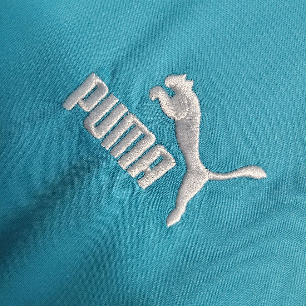 Miniatura: Camisa Palmeiras Treino 23/24 - Torcedor Puma Masculina - Verde