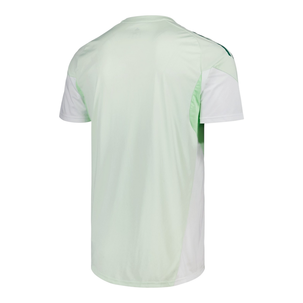 Miniatura: Camisa Aston Villa Treino 25/26 - Torcedor Adidas Masculina - Branca e verde