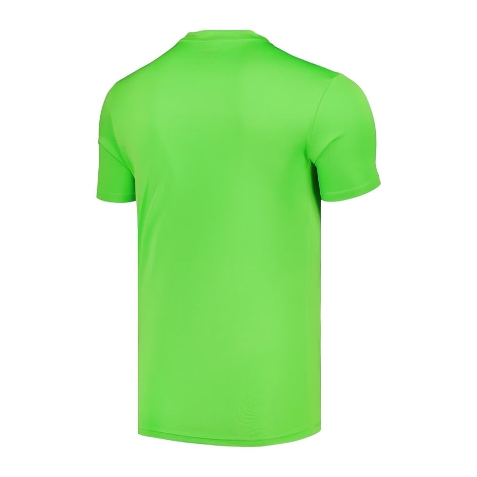 Miniatura: Camisa Everton Goleiro I 24/25 - Torcedor Castore Masculina - Verde