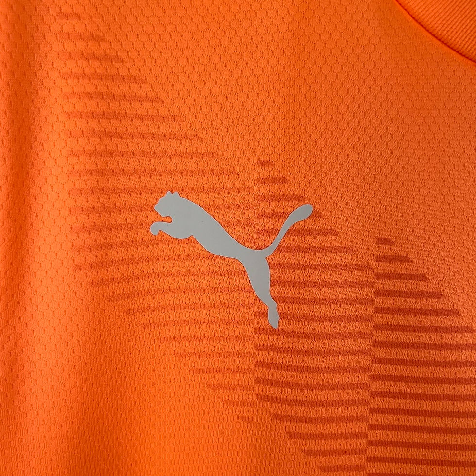 Miniatura: Camisa Palmeiras Goleiro III 23/24 - Torcedor Puma Masculina - Laranja com detal