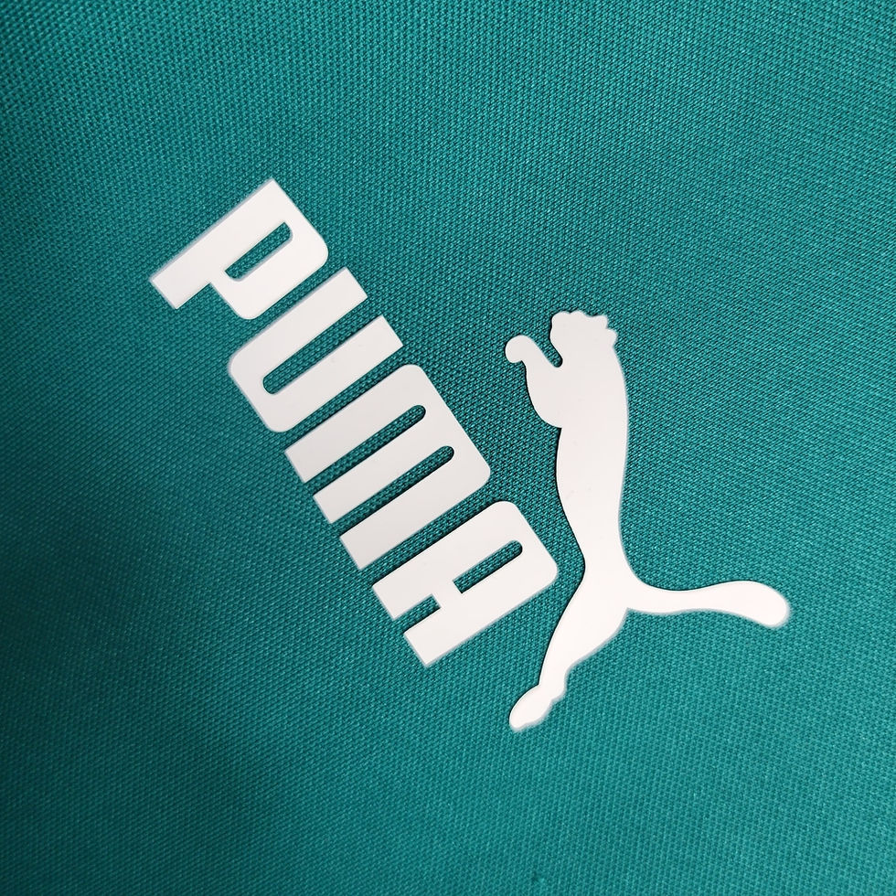 Miniatura: Camisa Palmeiras Treino 23/24 - Torcedor Puma Masculina - Verde