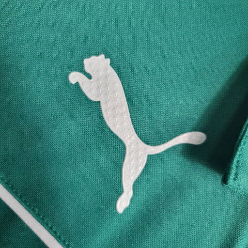Miniatura: Camisa Abel Ferreira Edição especial 23/24 - Torcedor Puma Masculina - Verde com