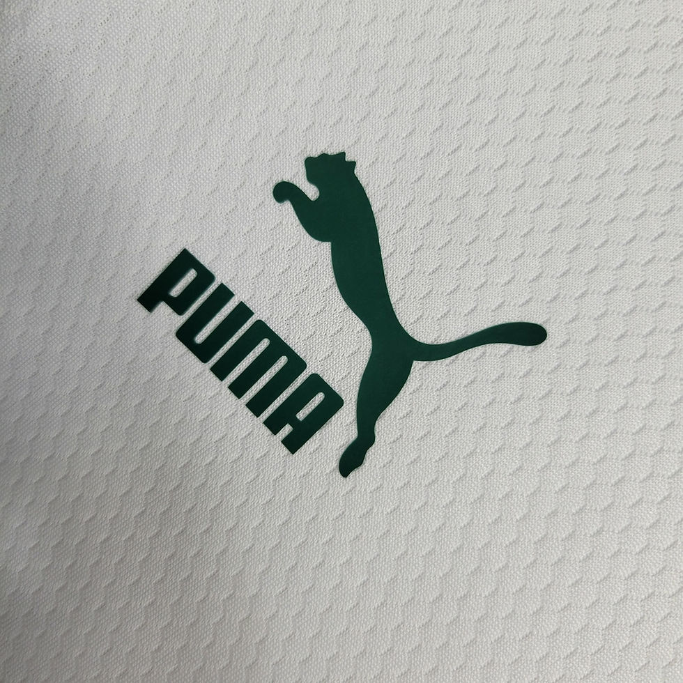 Miniatura: Camisa Palmeiras Treino 23/24 - Torcedor Puma Masculina - Branca com detalhes em
