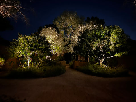 Energy-efficient outdoor lighting for a modern garden in Holland, Michigan - Grand Rapids, Michigan.