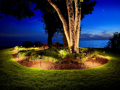Directional brass uplights highlighting trees and dense shrubbery in a backyard landscape setup.