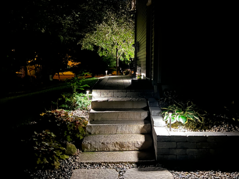 Custom landscape lighting design for a tree-lined garden at night in Holland, Michigan - Grand Rapids, Michigan.