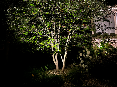 Backyard lighting installation with LED lights for safety in Holland, Michigan - Grand Rapids, Michigan.