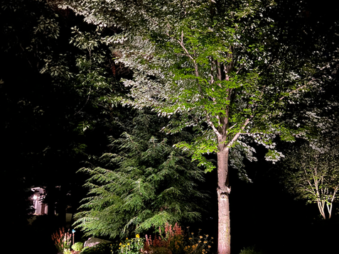 Outdoor lighting for patios, adding warmth at night in Holland, Michigan - Grand Rapids, Michigan.