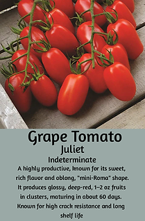Tomato Juliet.png