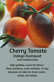 Tomato Cherry Indego Kumquat.png