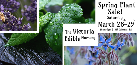 2026 Spring Plant Sale Event Banner.png