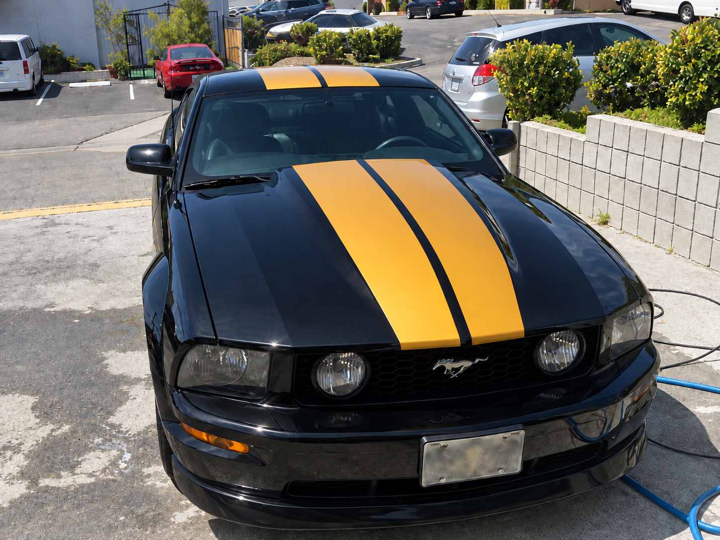 Black Ford Mustang GT with twin gold racing stripes on the hood and roof, photographed from the front.