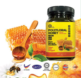 Pure & Raw Polyfloral Honey