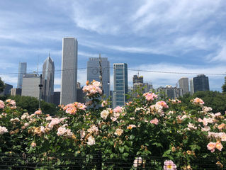 Chicago