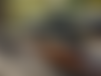 Reasons to Choose a Ruger Precision Rifle for Your Next Firearm